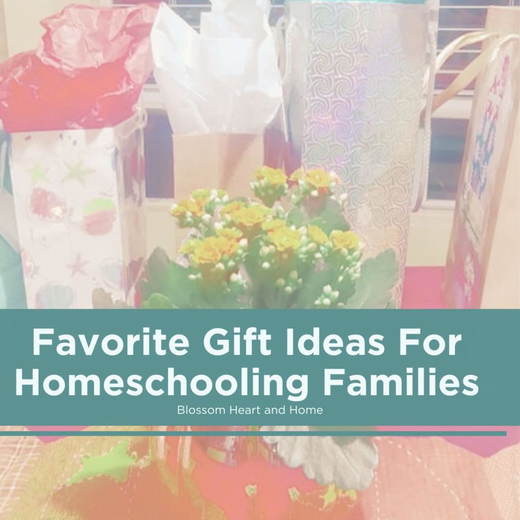 Favorite Gift Ideas for Homeschooling&nbsp;Families